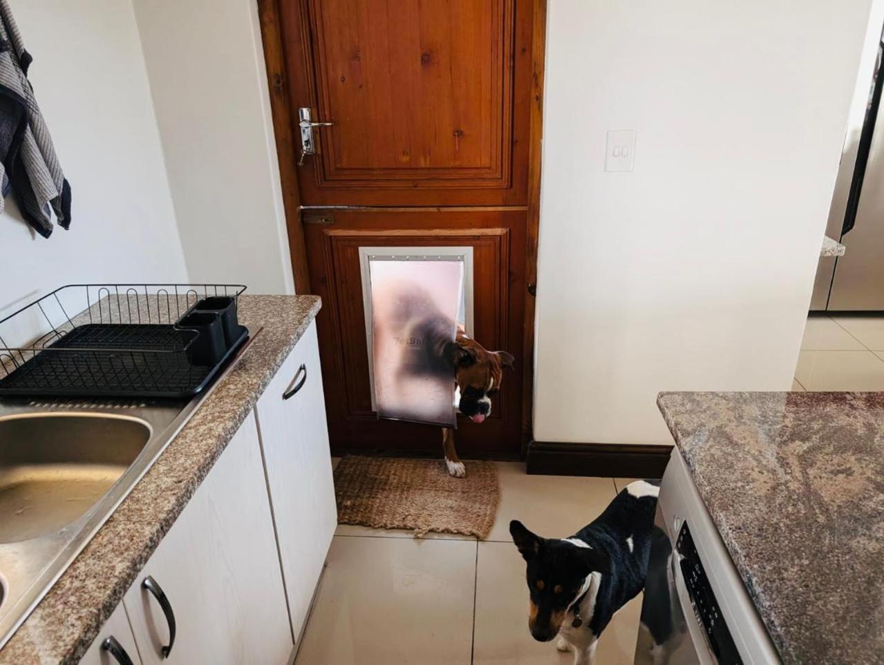 Round Robben * Langebaan